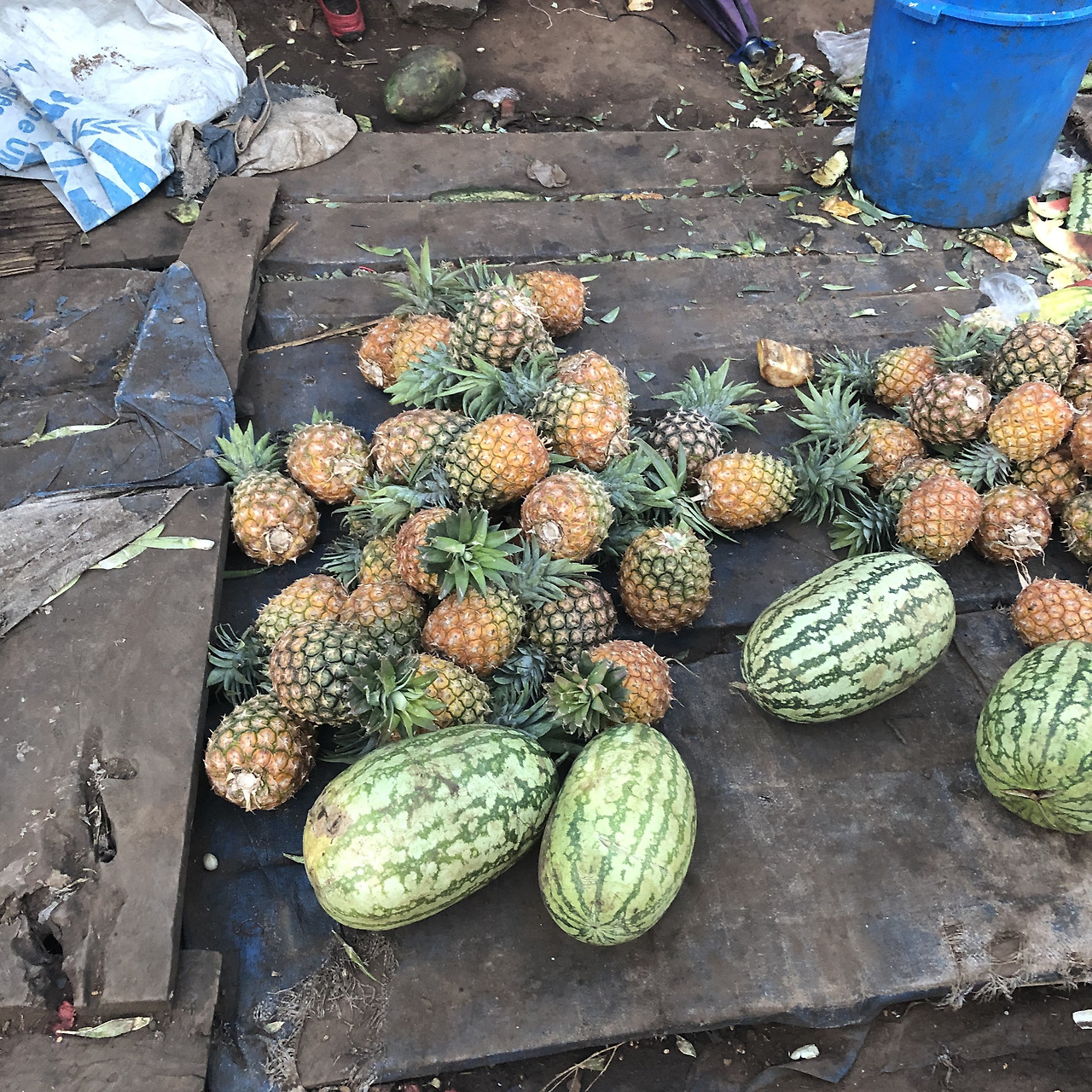 파인애플 수박.jpg