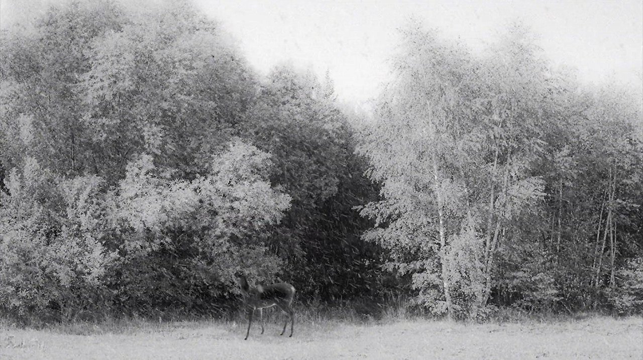 MV5BZWFiMGNhNTktY2IxYy00ODJmLWJlM2EtNDIzZjc4NGFlZDcyXkEyXkFqcGdeQXVyMzI4NTIxMjE@._V1_SX1777_CR0,0,1777,996_AL_ (1).jpg