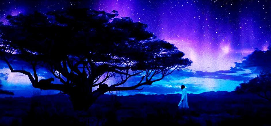 black panther ayahuasca.jpg