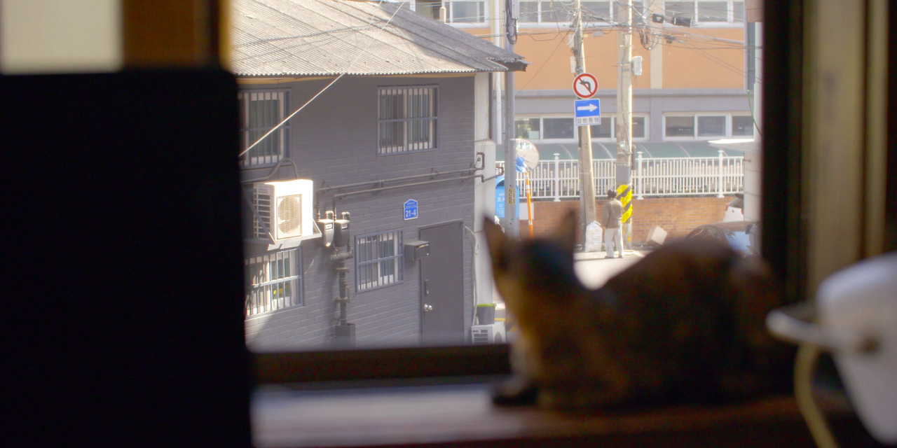 SAVE THE CAT__still08.jpg