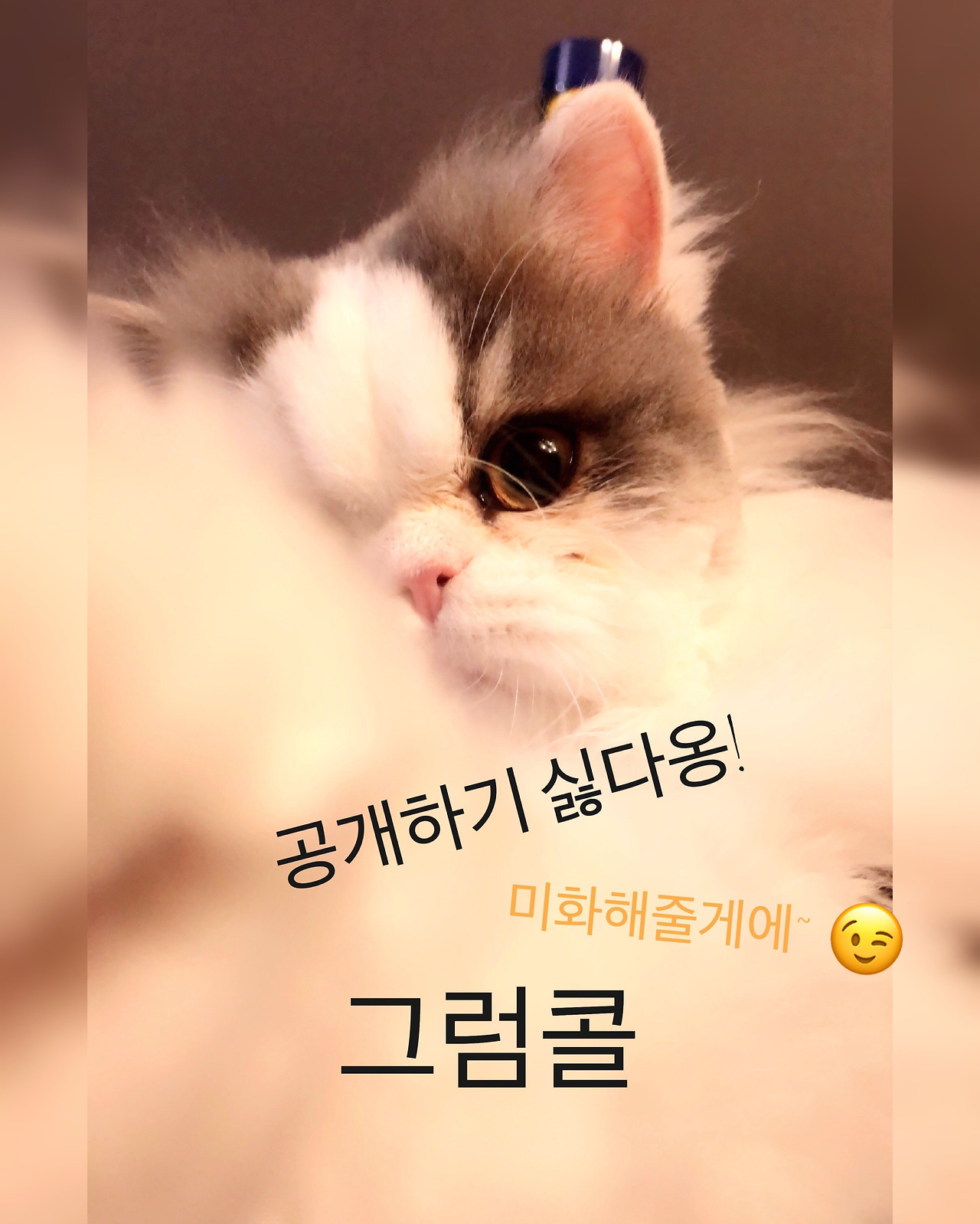KakaoTalk_20181204_221717836.jpg