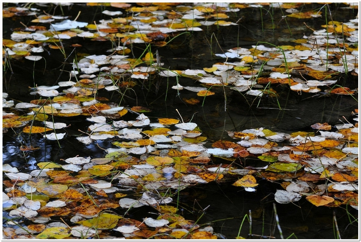 Lightnning lake.3jpg.jpg