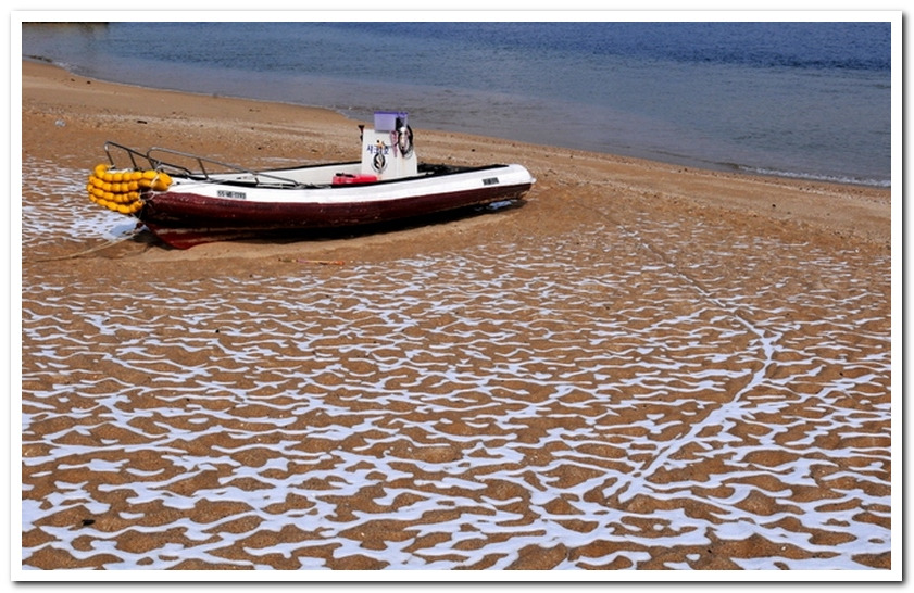 DSC_8919 800-600.jpg