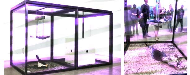 소머리작품 copy.jpg