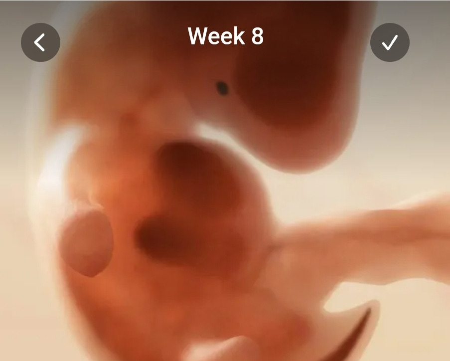 Screenshot_20230303_132541_Pregnancy+.jpg