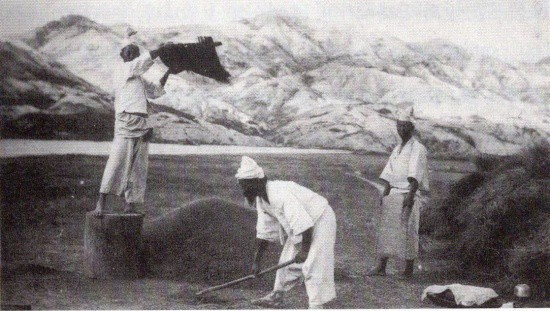 19세기의 민둥산.jpg