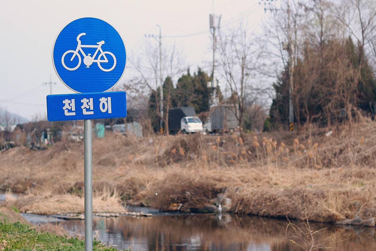 3. 양재천 산책길.jpg