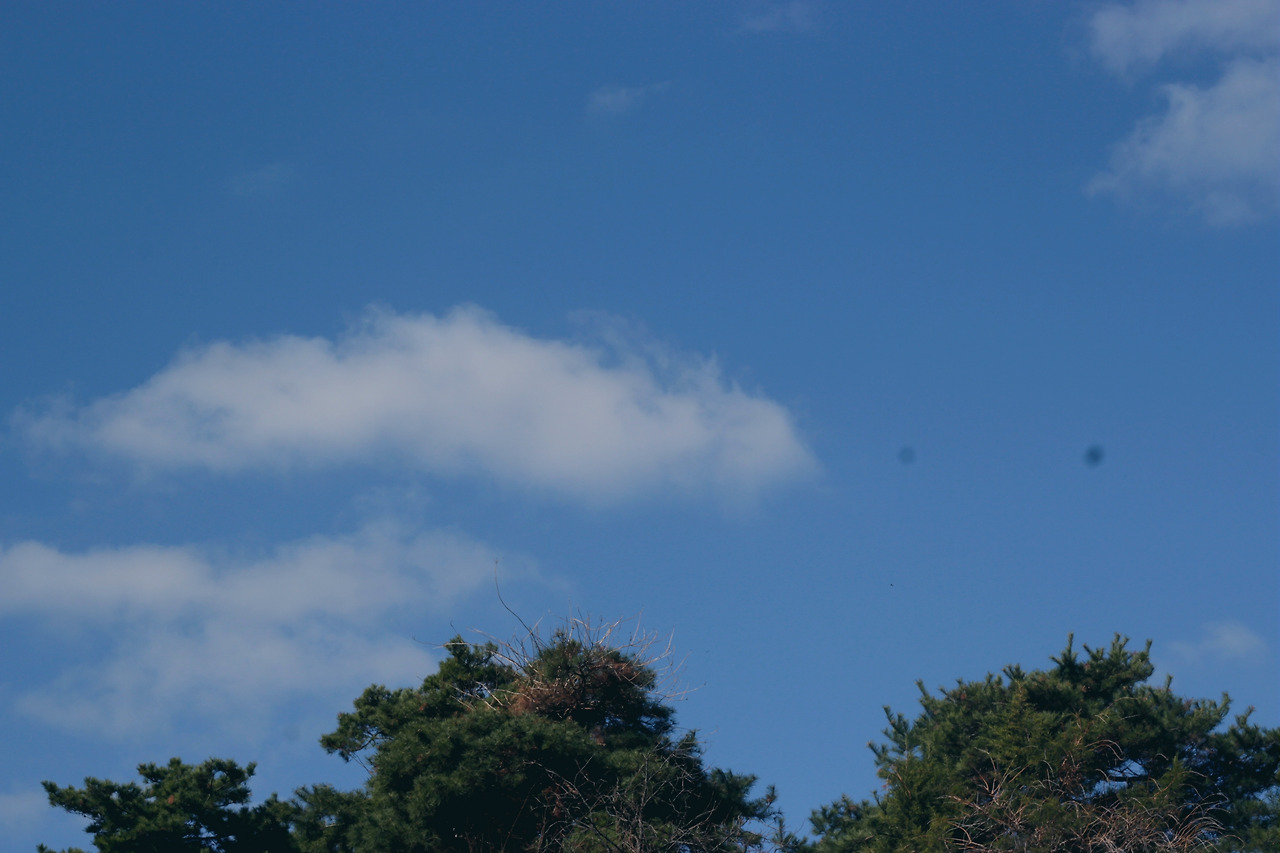 4. 양재천 산책길.jpg