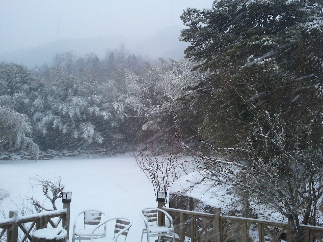 2011-02-14 07.42.05.jpg