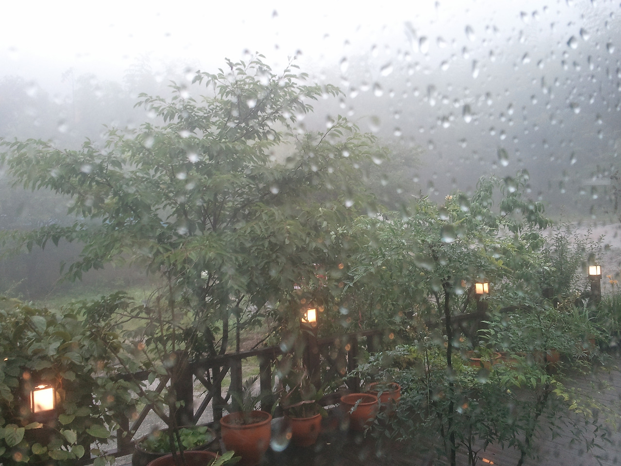 2012-07-11 12.34.01.jpg