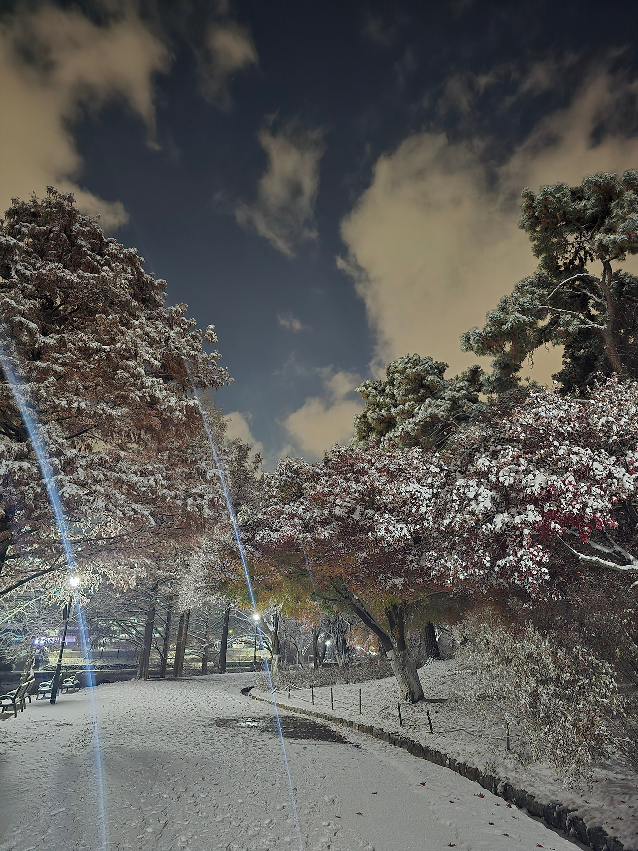 KakaoTalk_20251205_124043808_01 - 복사본 (2) - 복사본.jpg