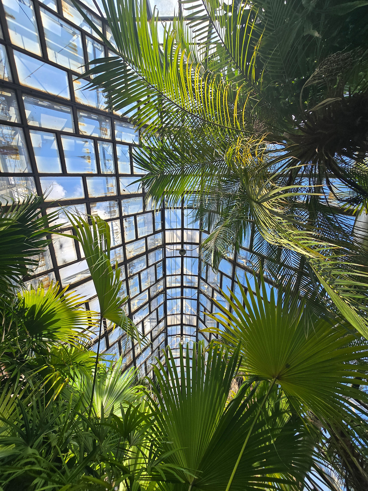 KakaoTalk_20250918_234130700_12 - 복사본.jpg