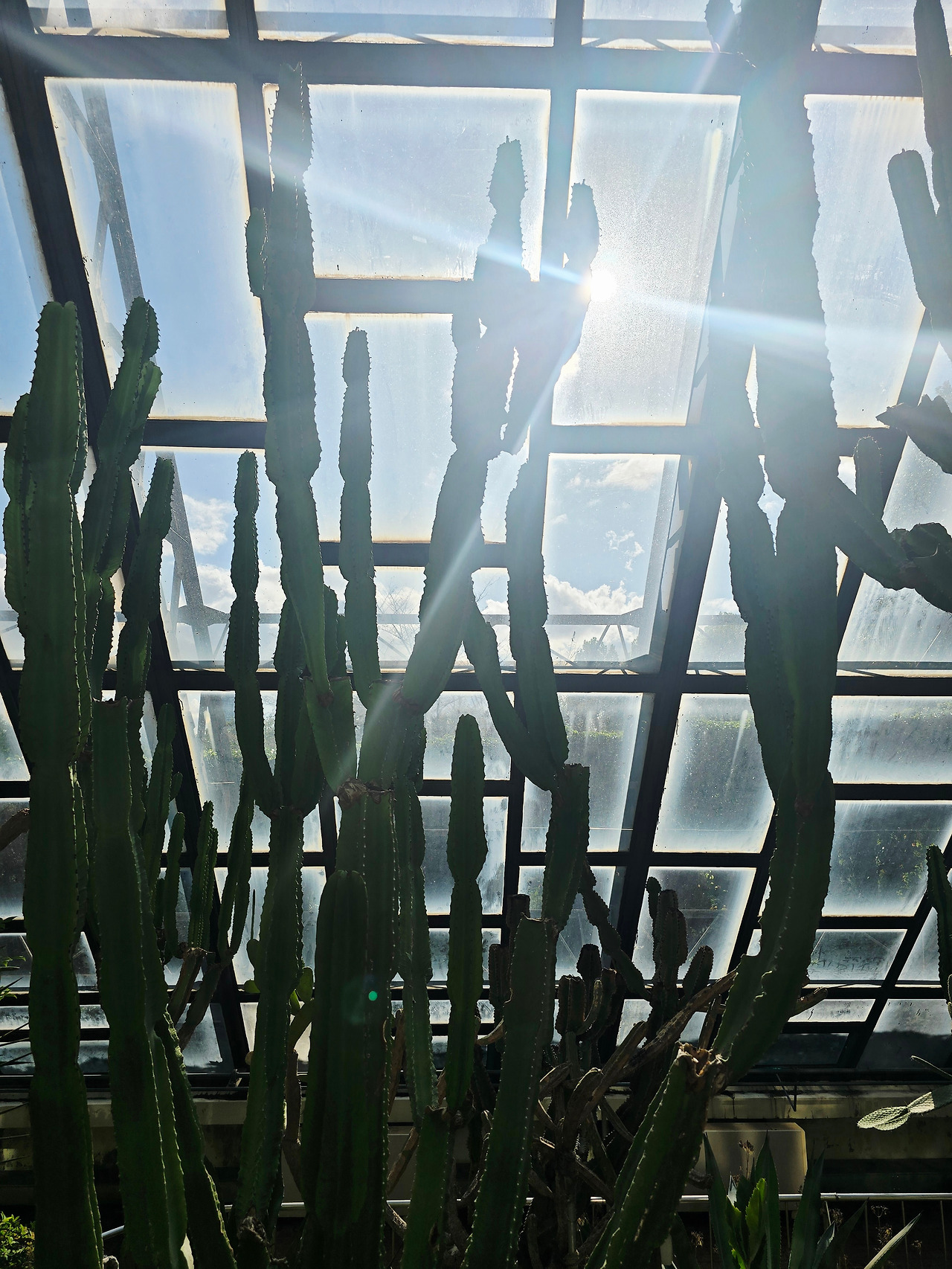 KakaoTalk_20250918_234130700_13 - 복사본.jpg