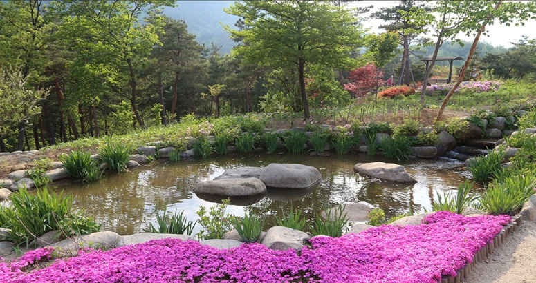 11_sokcho_seoraksan botanical garden.jpg