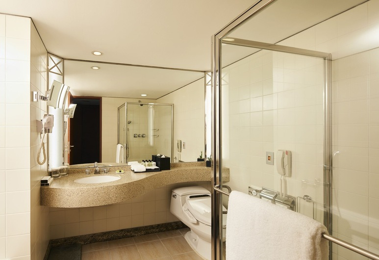 Korea_Seoul_InterContinental Seoul COEX 2.jpg