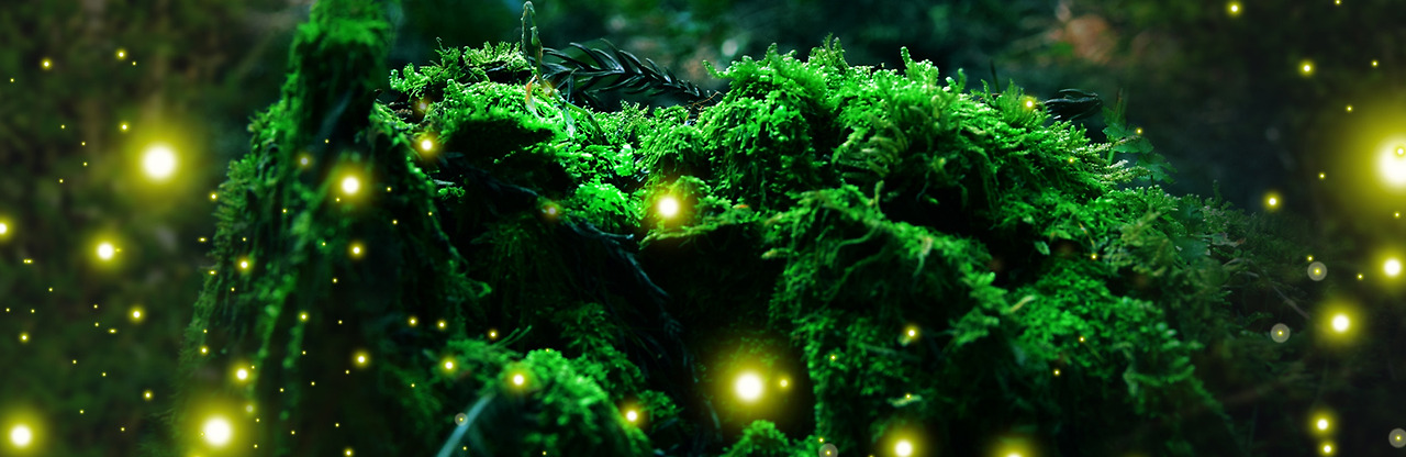 july festival_07_cheongsuri.jpg