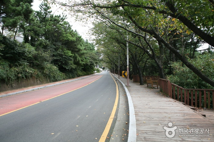 Korea_Busan&Busan_Dalmaji-gil.jpg