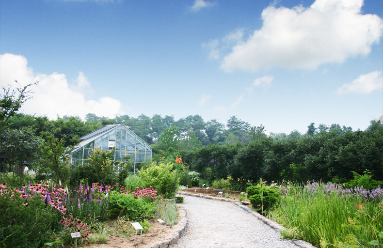 Yongin_Hantaek Botanical Garden2.jpg