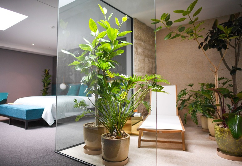 Korea_Jeju_Maison Glad Jeju 2.jpg