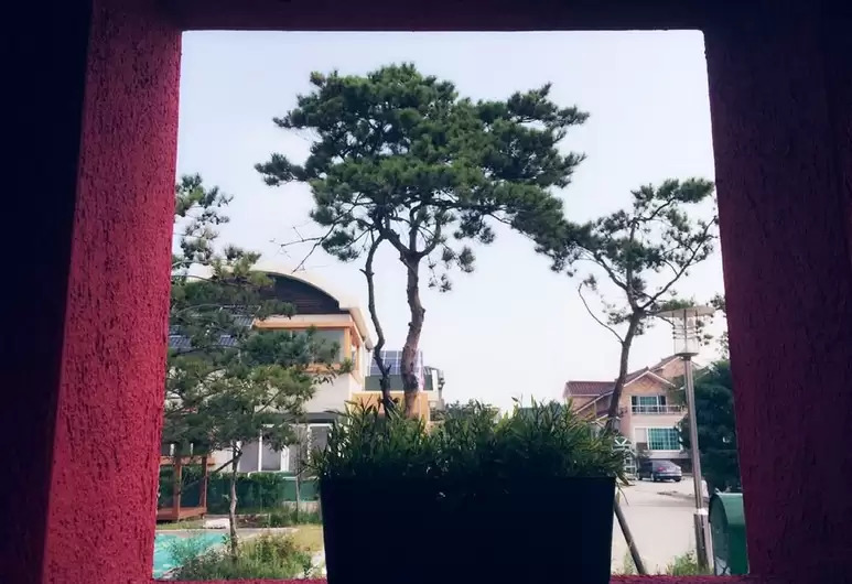 Incheon airport_happyplace guesthouse_window.jpg