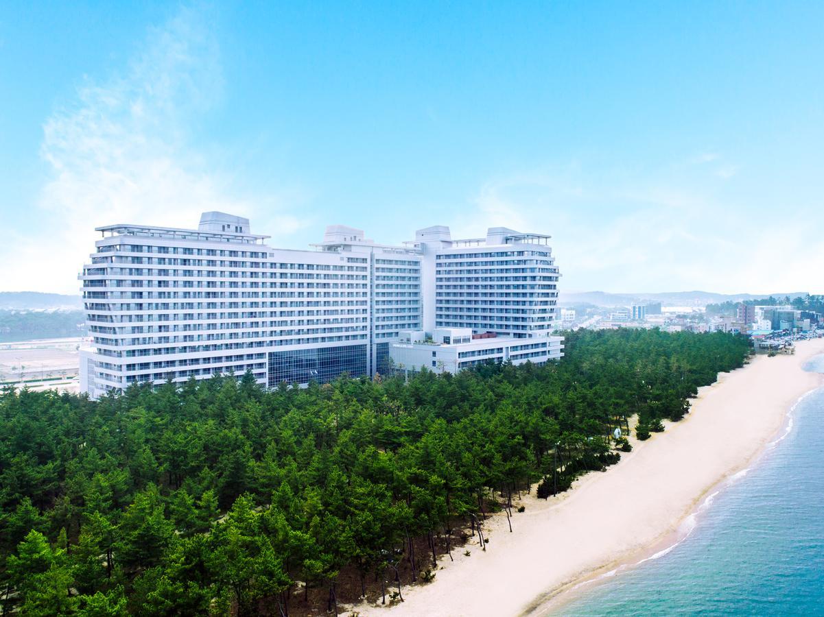 4. Gangneung_Sun Cruise Resort_Overview.jpg