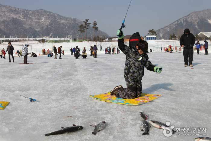 3_pyeongchang_whitefish festival.jpg