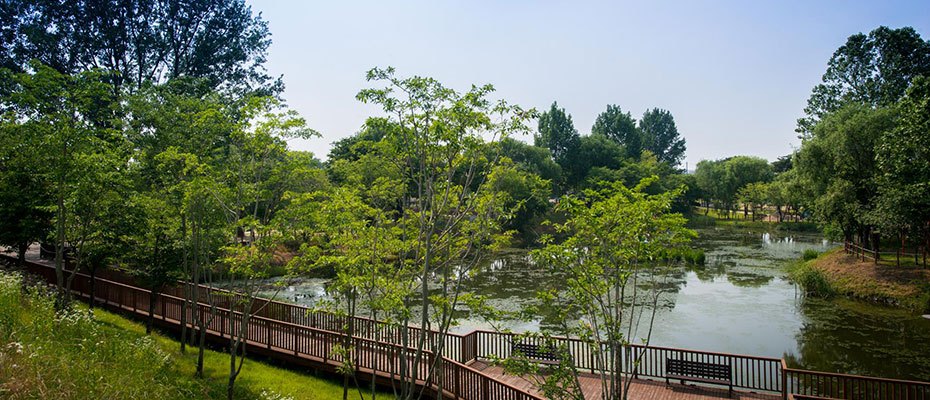 Pyeongtaek_1_sopung garden.jpg