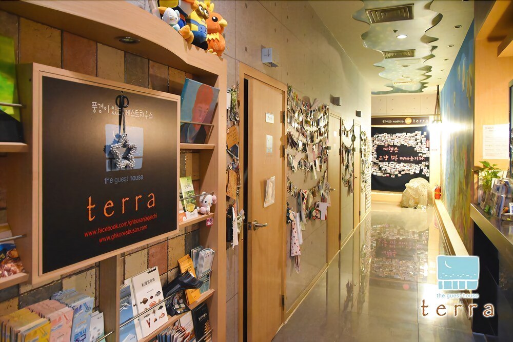 8. Korea_Busan_Terra Guesthouse_Cafe.jpg