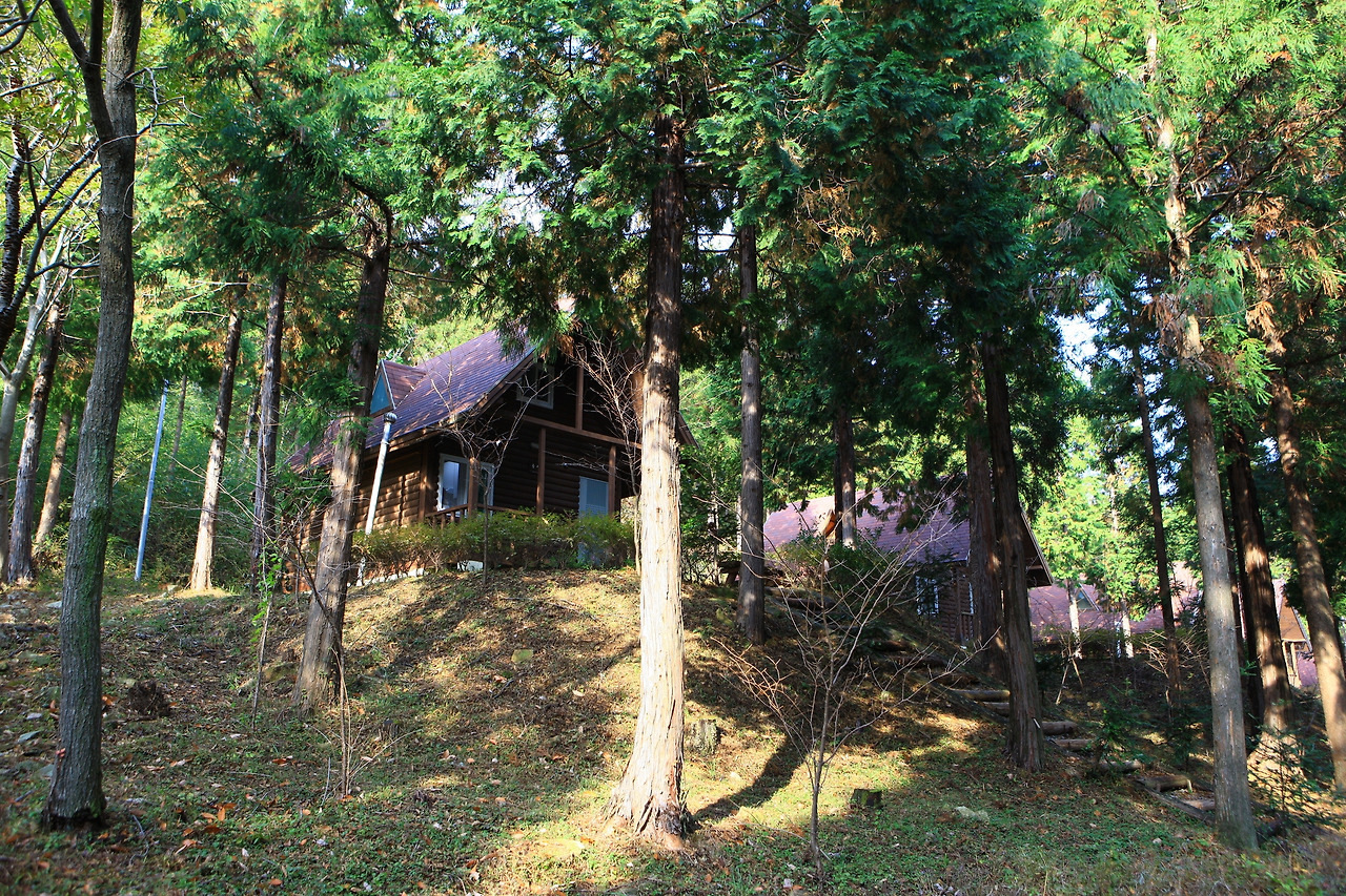 Korea_Namhae_Namhaepyeonbaek Recreation Forest(1118018201211050k).jpg