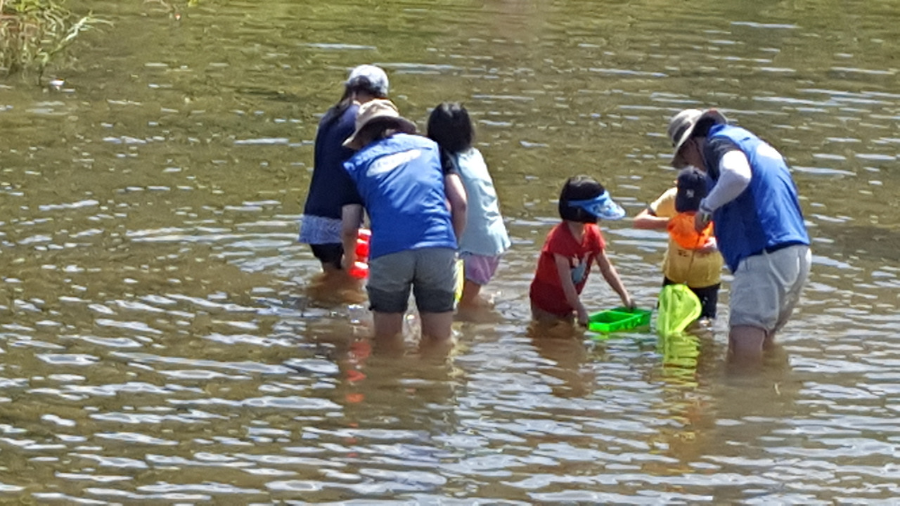 8_gapyeong_bandibul village.jpg