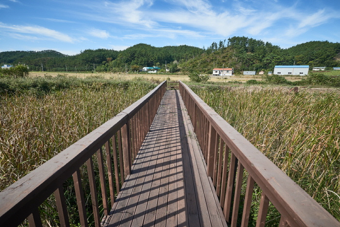 7. Korea_Taean_Maehwa Dumbung Village.jpg
