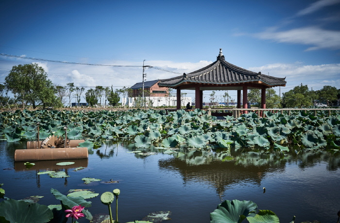 Jeju Family Travel_Yeon Hwa Pond.jpg