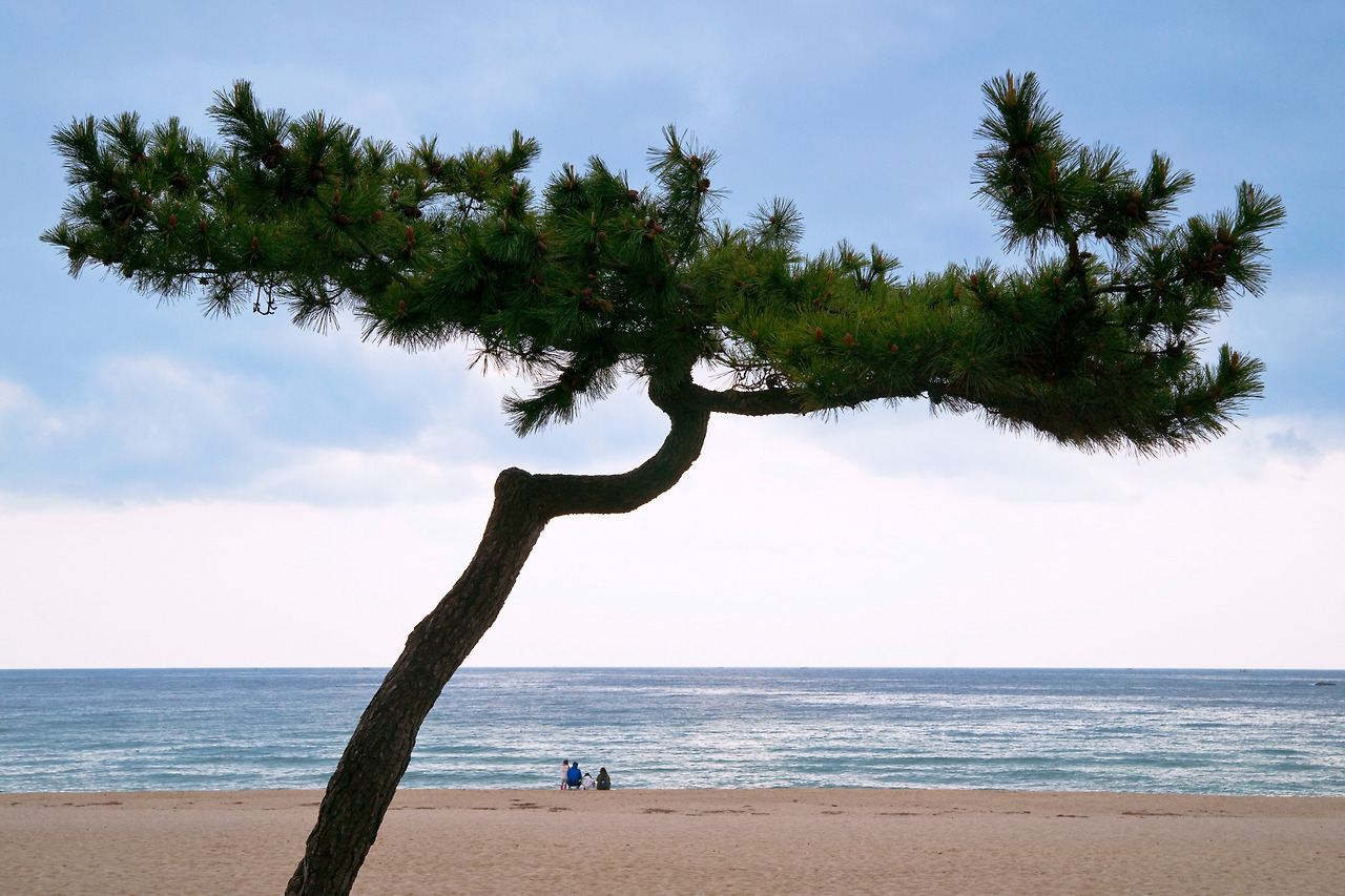 3. Korea_Gangneung_Gyungpo Beach.jpg