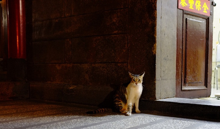 대만호텔 (3).jpg