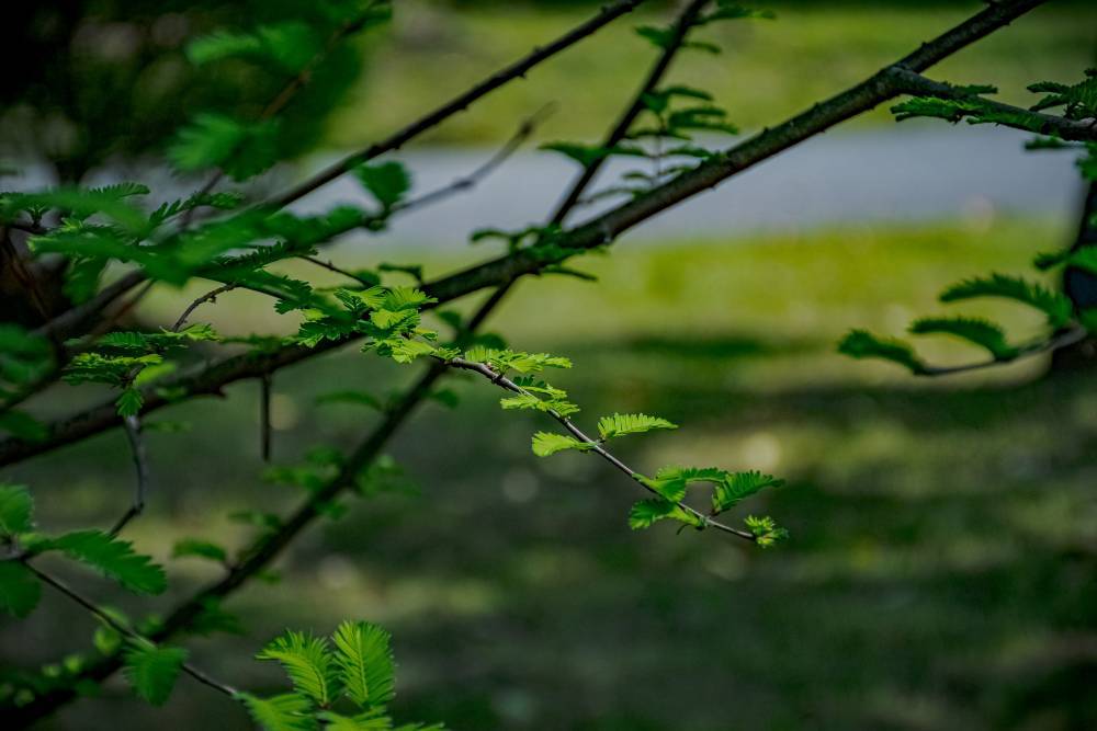 sd-wang-pzz0byiycPU-unsplash (1).jpg