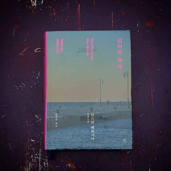 358508809_1040438607308212_2909582926210261295_n (2).jpg