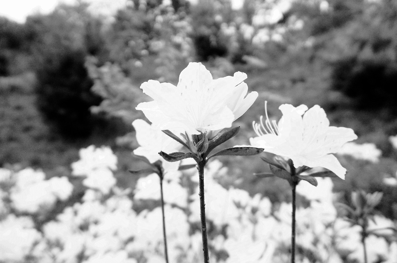 2016-04-30 16.26.07.jpg