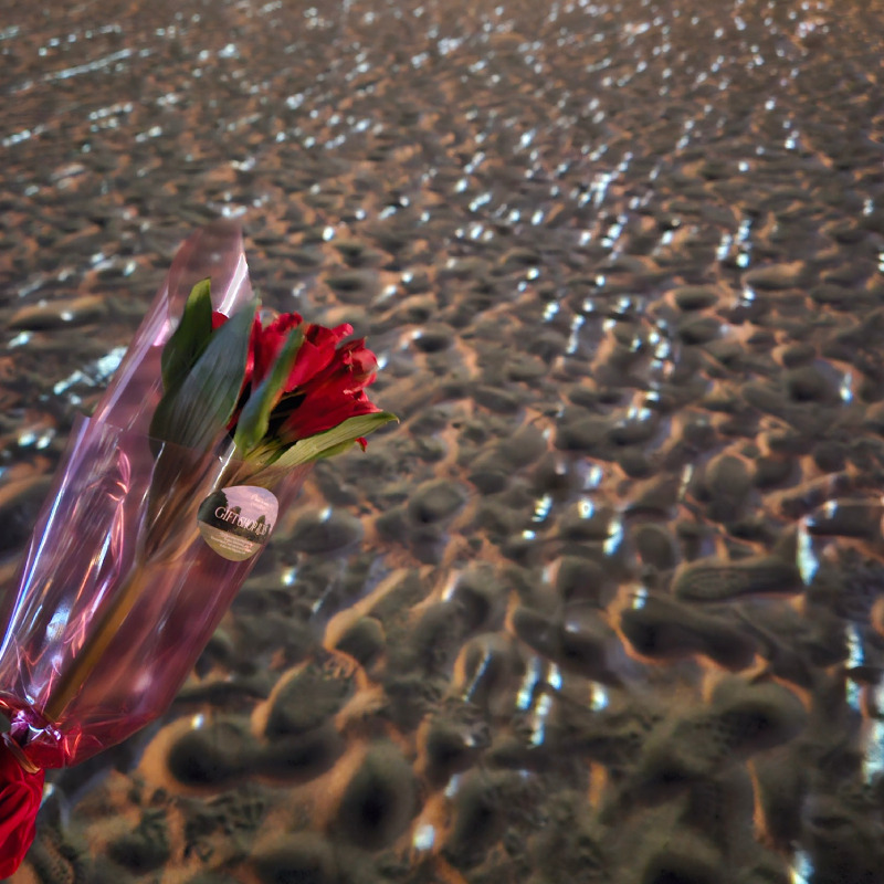 KakaoTalk_20231229_191438084 (1).jpg