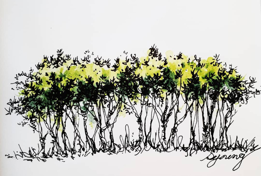 31556876_1506104319512522_5848718766694727680_n (1).jpg