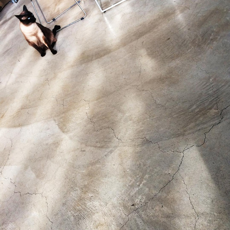 27580640_147820785860127_1847510010922270720_n (1).jpg