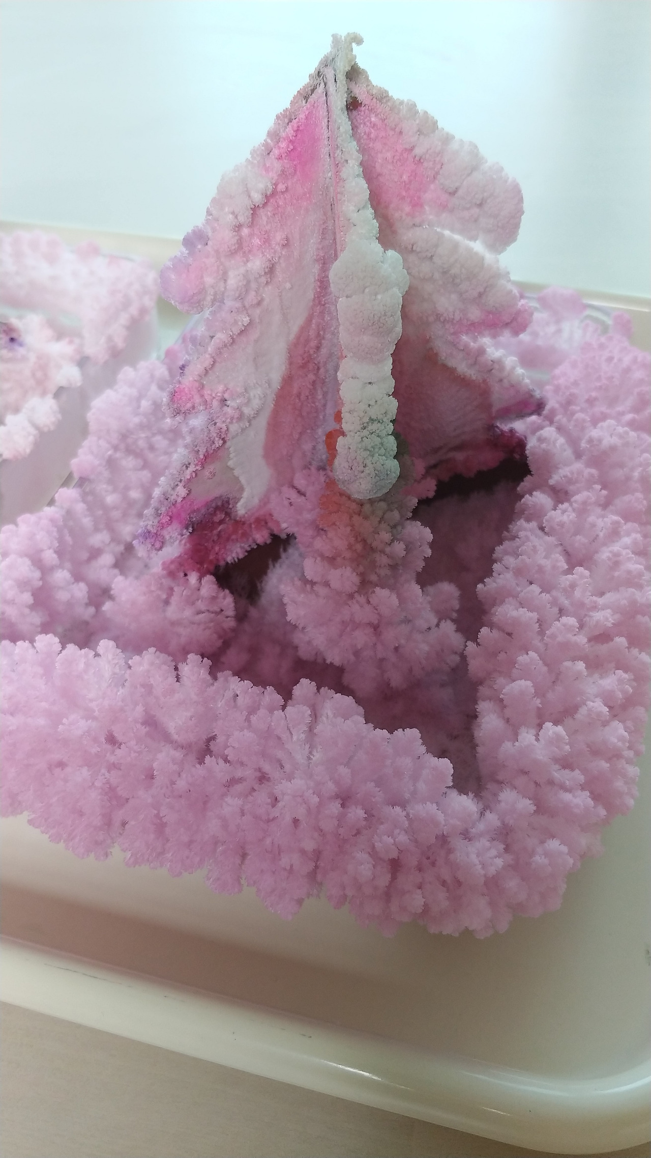 매직크리스탈트리 10 (7).jpg