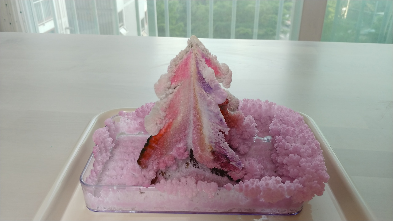 매직크리스탈트리 10 (6).jpg