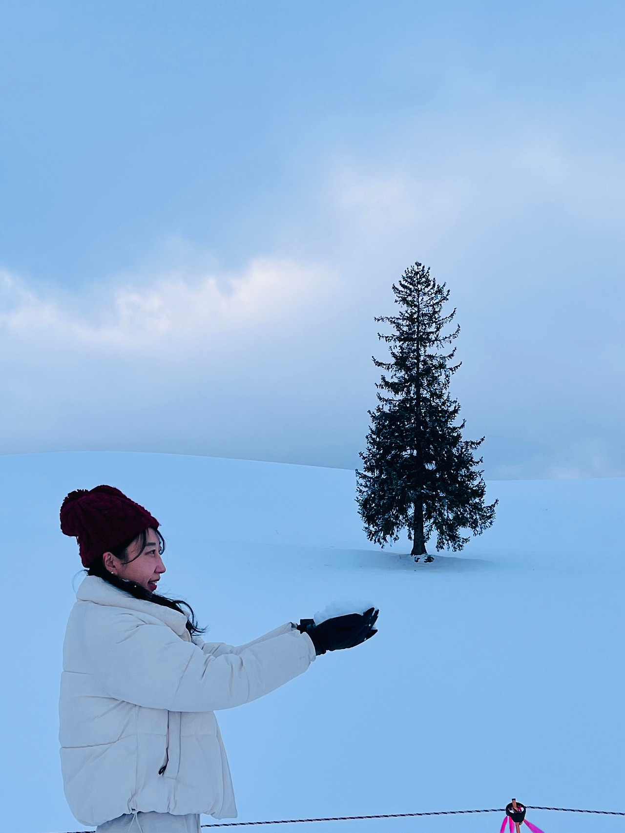 홋카이도 비에이 (25).jpg