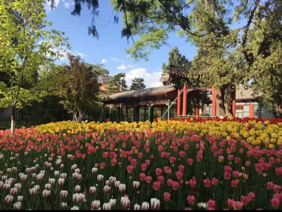 WeChat Image_20210710215248.jpg