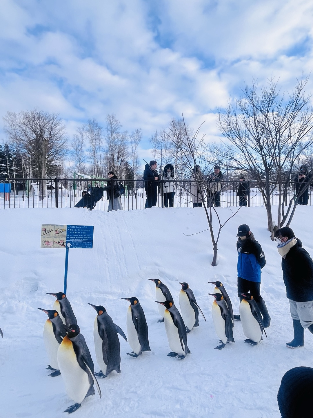 14 펭귄워크와 소유라멘의 도시 (4).jpg