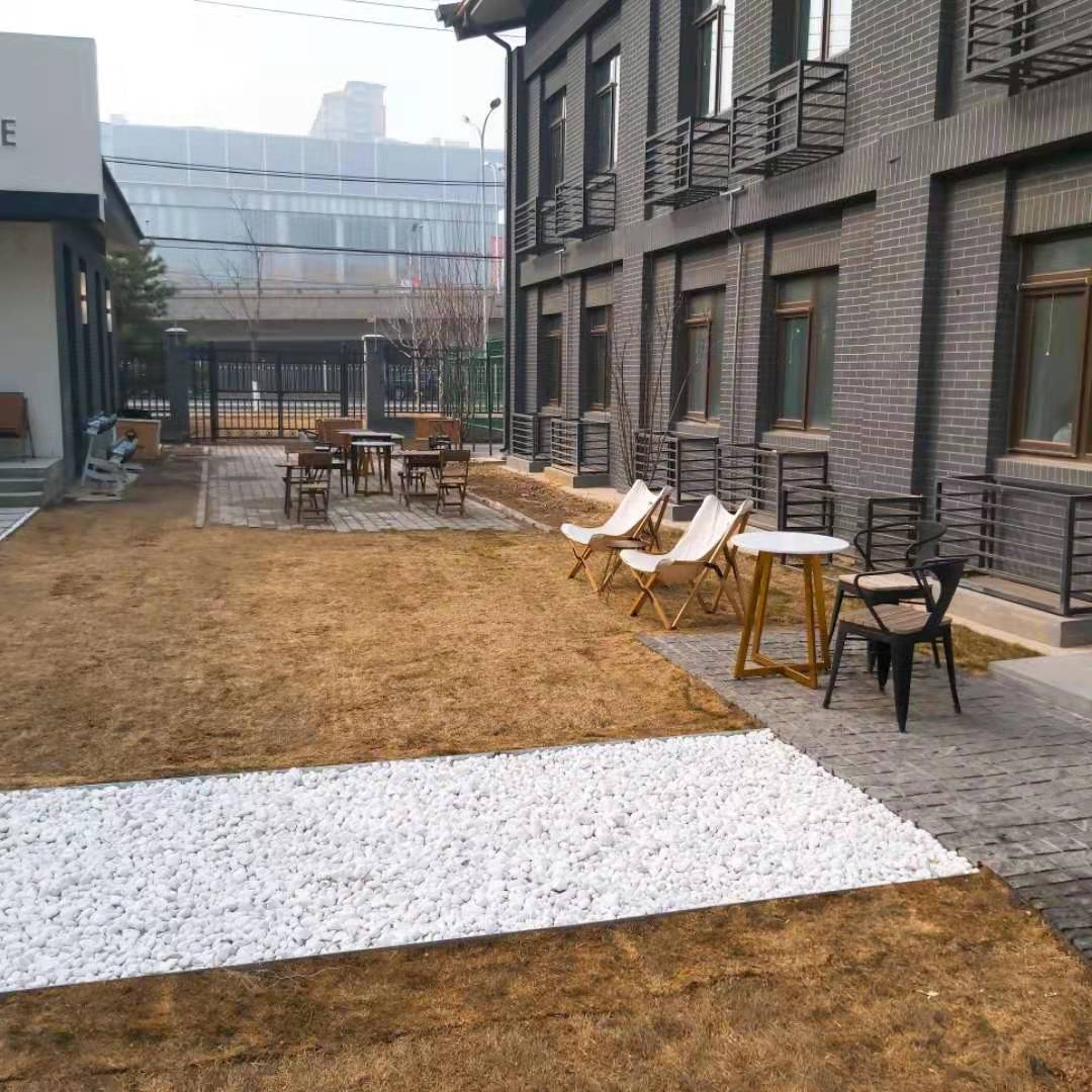 WeChat Image_20210308184732.jpg