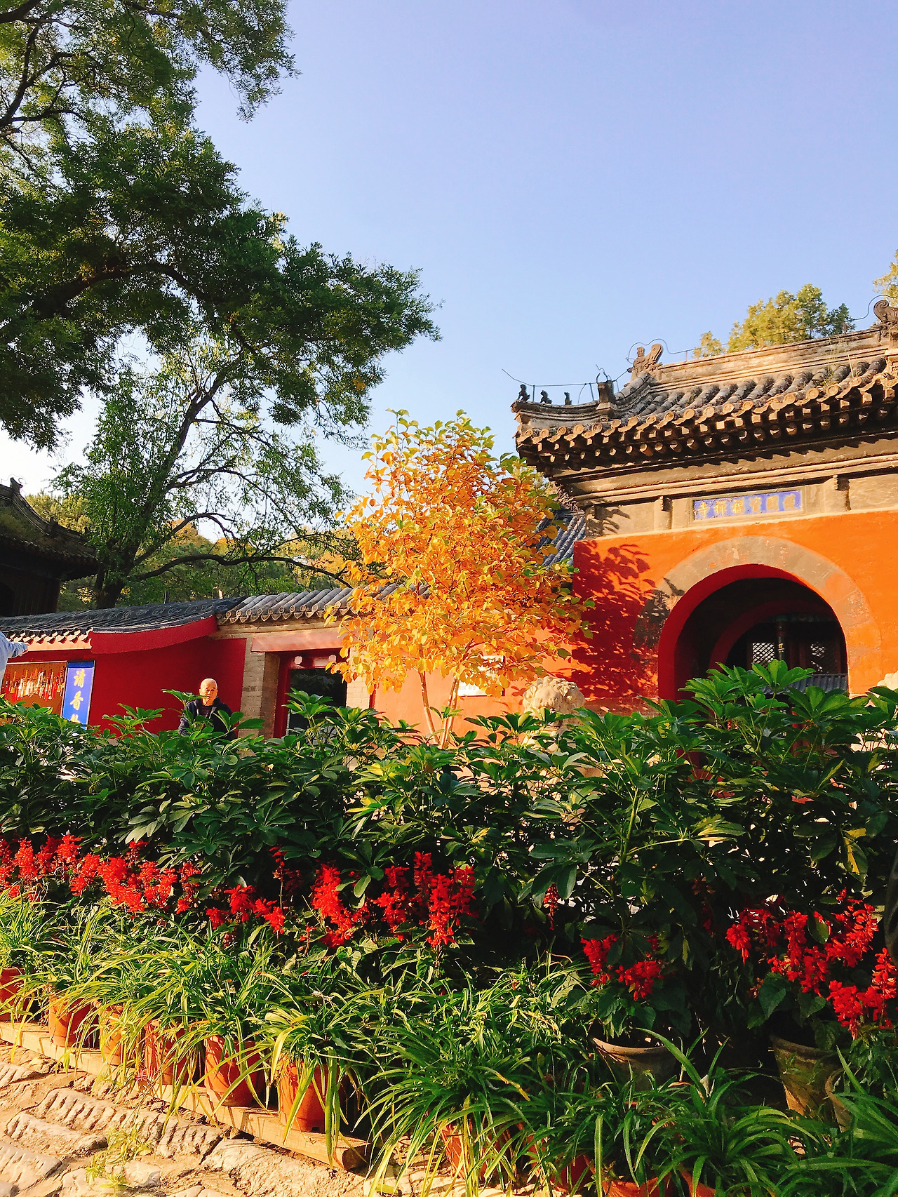 WeChat Image_20201214000812.jpg