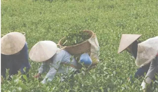 WeChat Image_20210319125851.jpg