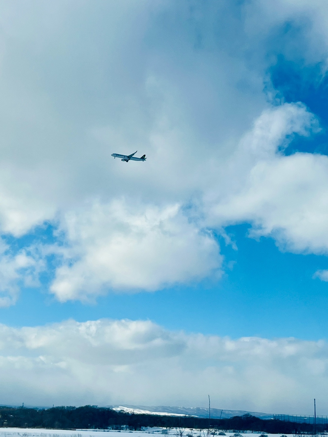 01 12월의 홋카이도 더 추워질 결심 (1).jpg