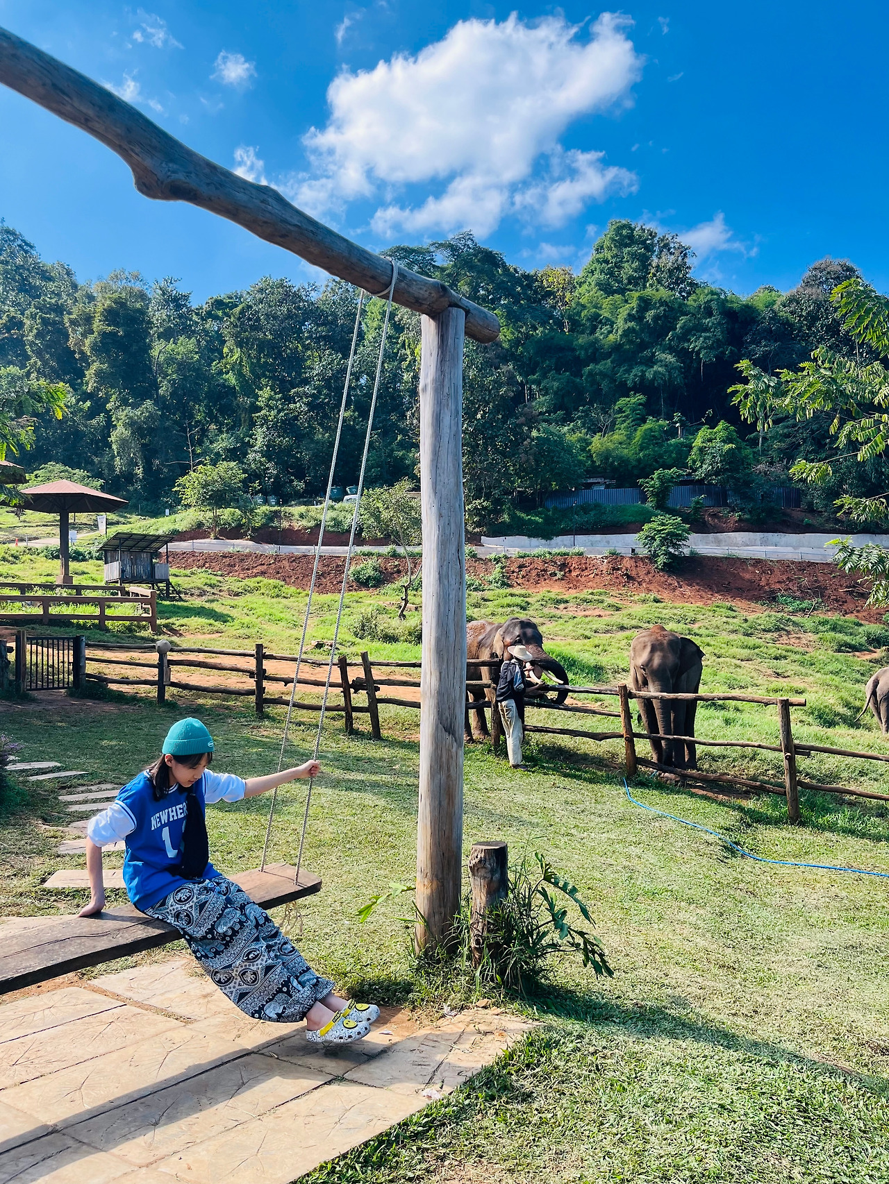 치앙마이코끼리 (6).jpg